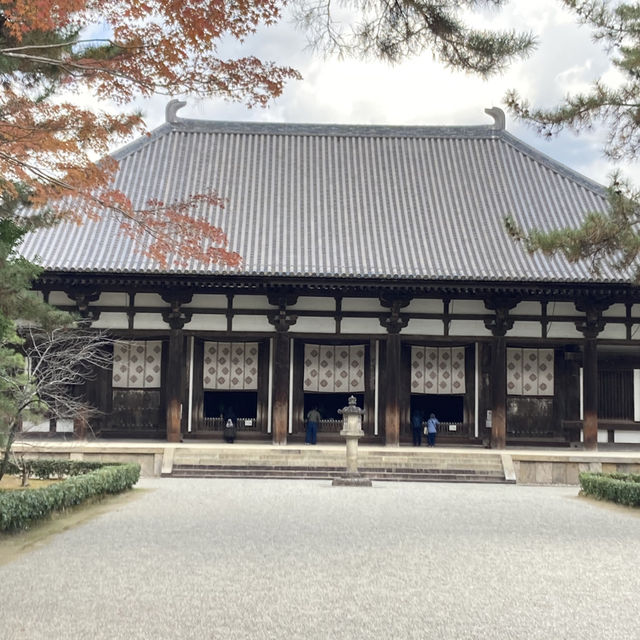 奈良の寺(唐招提寺と薬師寺)