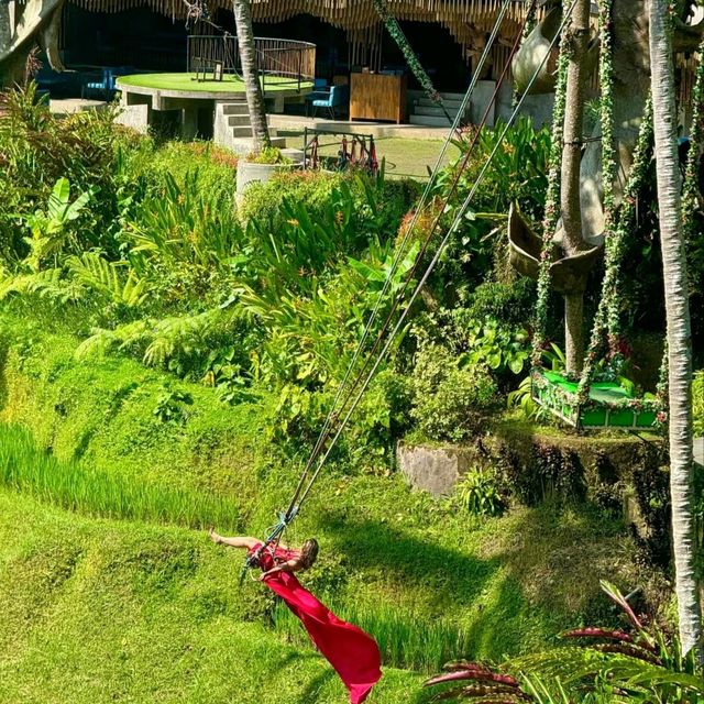 Swinging Into Paradise: A Day at Alas Harum Bali