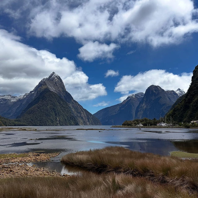 Milford Sound 