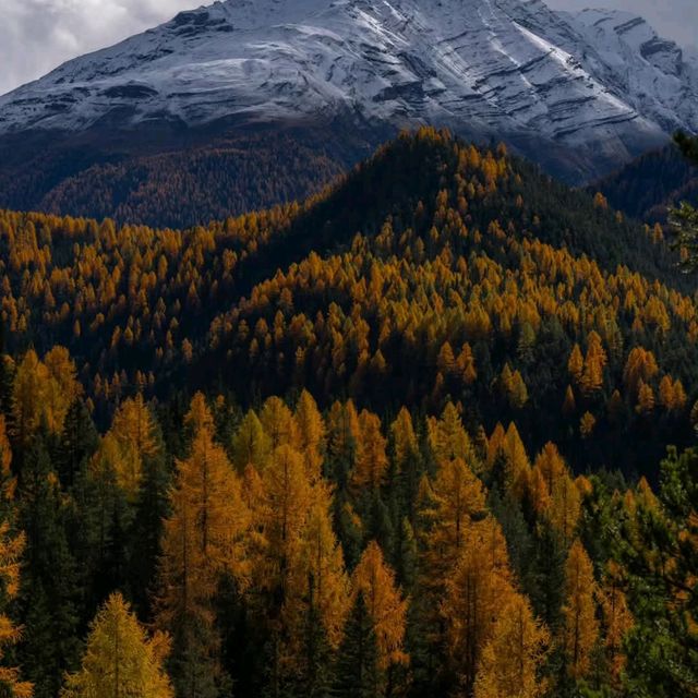 Swiss National Park