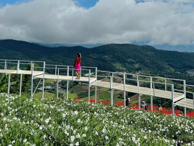 Ying Yong flower garden 🇹🇭 