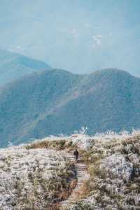 杭州初雪市區一小時可達的鸬鳥山賞雪攻略