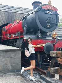 Explore the Wizarding Wonders of Harry Potter World🪄