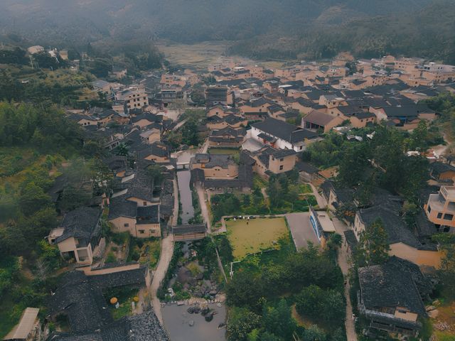 寧德屏南·藏在山裡的古村落，柿子已紅滿枝頭。