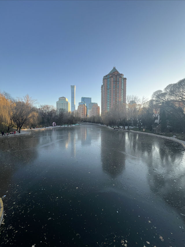 鬧中取靜的休閒之所，團結湖公園