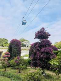 廣州雲蘿植物園