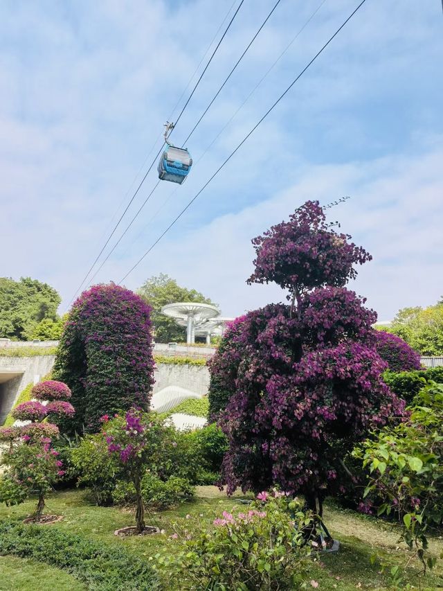 廣州雲蘿植物園