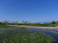 撫仙湖·月亮灣濕地公園——在雲南「看海」