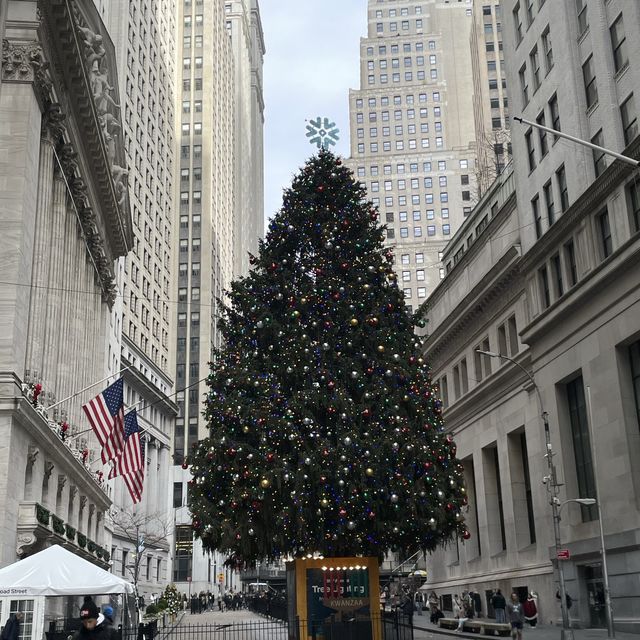 ❤️Magical Christmas in New York