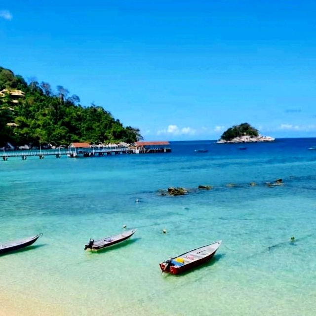 Tioman - A diving paradise 