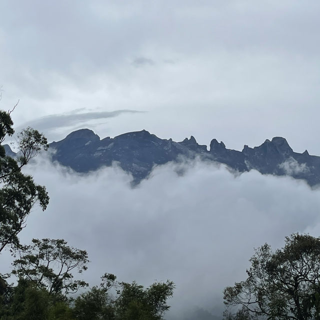 Mount Kinabalu - Heaven on Earth ; the best view comes after the hardest climb