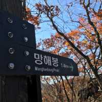 Naejangsan hiking trails in autumn