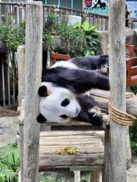 奇趣自然之旅：馬來西亞國家動物園漫遊記