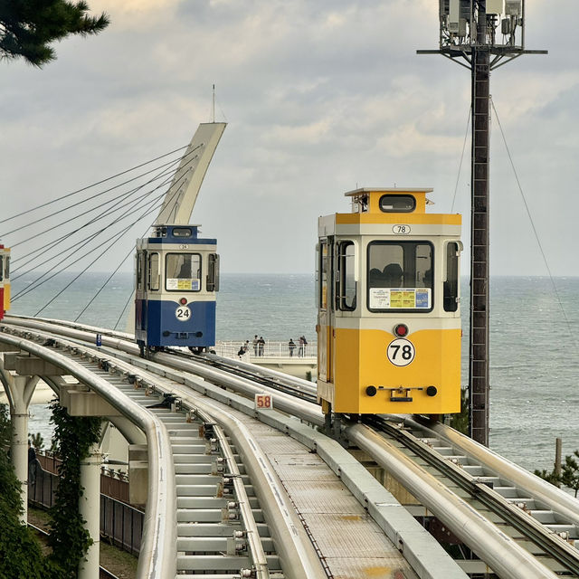 Discover Busan in a day! 