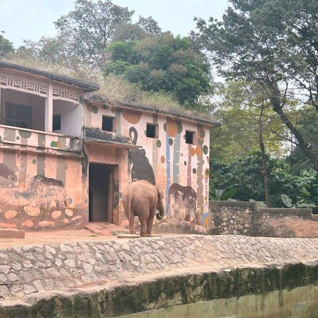 Guangzhou Zoo