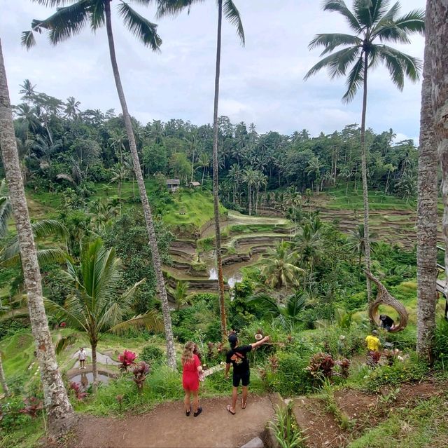 UBUD Rice Terrace - A must Visit 