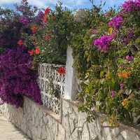 Beautiful gardens of Malaga 🇪🇸