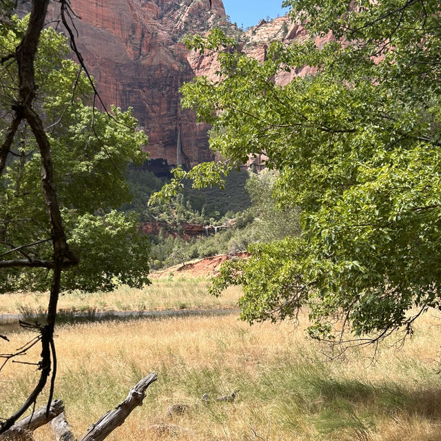 A riverside walk at Zion 