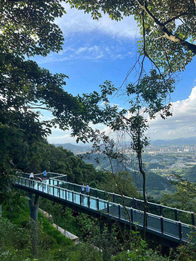 廣州｜ 黃埔油麻山森林公園。