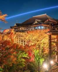 Explore Kyoto's Nighttime Autumn Foliage in 2023