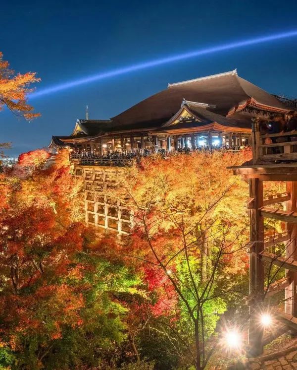 Explore Kyoto's Nighttime Autumn Foliage in 2023