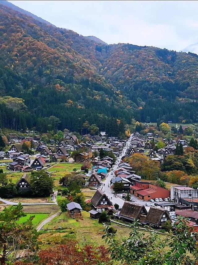 8日玩遍日本 冬天打卡正當時。