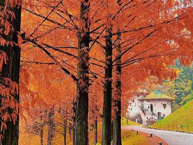 Experience Autumn in a Fairytale