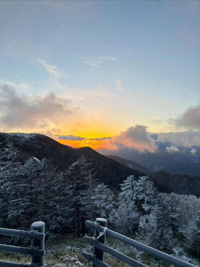 長野冬季限定｜在美原高原看雪景與星空