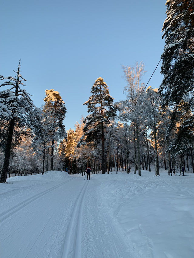 A Day in Oslo: Skiing from Dawn to Dusk