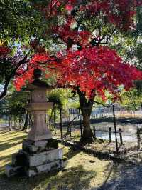 日本·京都清涼寺