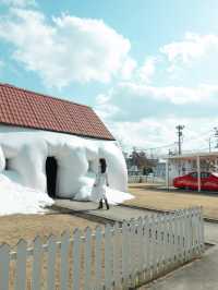 【青森】十和田市の見応え抜群の美術館