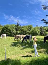 北海道 ❤︎ 11月まで楽しめる❣️ アクティビティ満載のリゾート♪ 