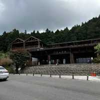 阿里山神木線