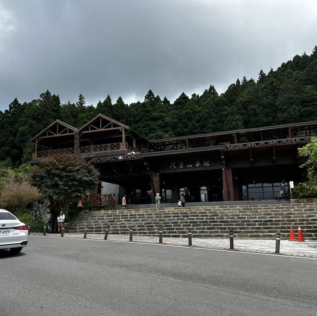 阿里山神木線