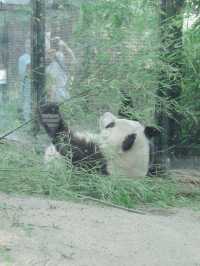 超大動物園～一次過看過夠