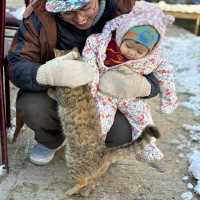 Christmas Magic in Snowy Cappadocia