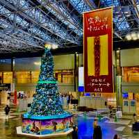 Festive Magic Takes Flight in CTS airport