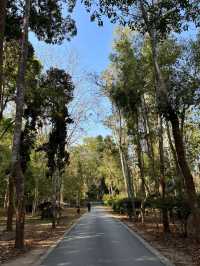 Xishuangbanna Tropical Botanical Garden: A Paradise of Biodiversity 