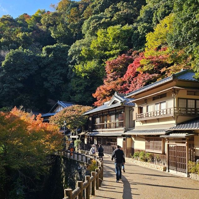 大阪的自然步道天堂〔箕面公園〕