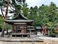 今宮神社