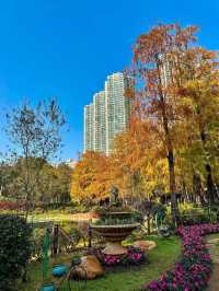 Tsing Yi Park