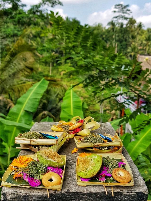 Bali rice terraces 