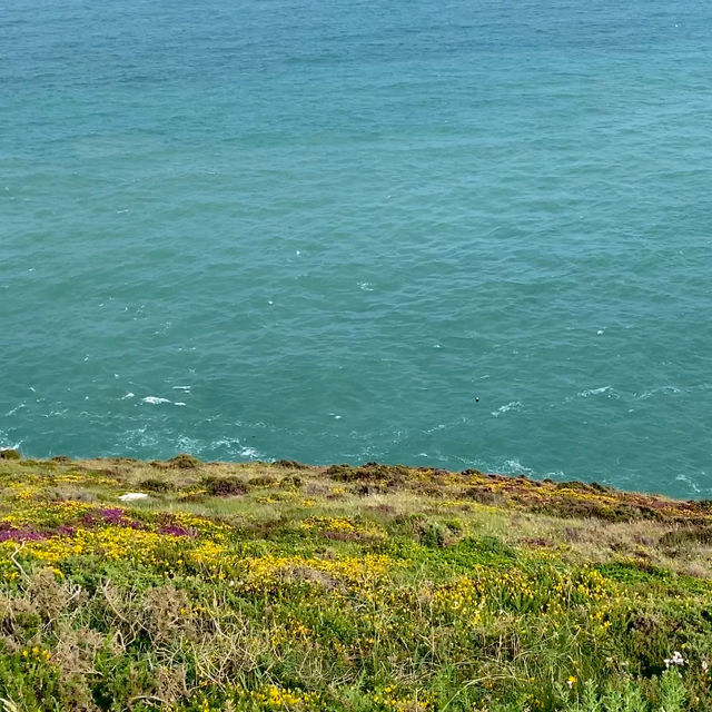 Cliffside Walk in Howth