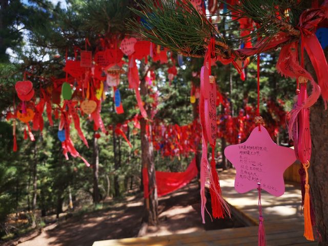 寧夏贺兰山蘇峪口國家森林公園