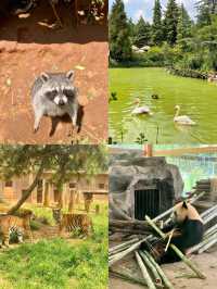 雲南野生動物園一日遊