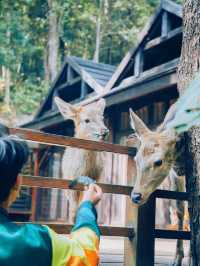 五一必玩 | 云南普洱小眾旅行地攻略（內含美食）