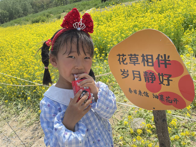 這油菜花也太美了吧！