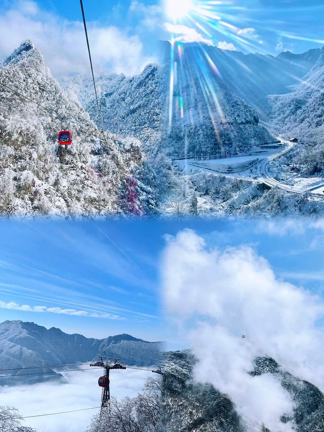 龍頭山賞雪全攻略：邂逅冬日仙境