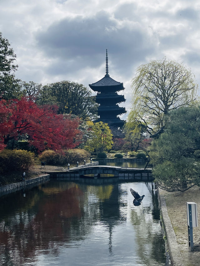 日本·京都