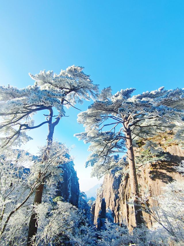 古人不曾欺我——登黃山天下無山，觀止矣